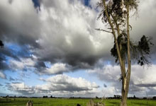 亿万28官网：崔永熙未登场篮网负老鹰 莺歌33分鹈鹕擒公牛.