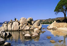 亿万28官网：Relevo：马竞将报价800万欧买断朗格莱，巴萨要价1200万欧.